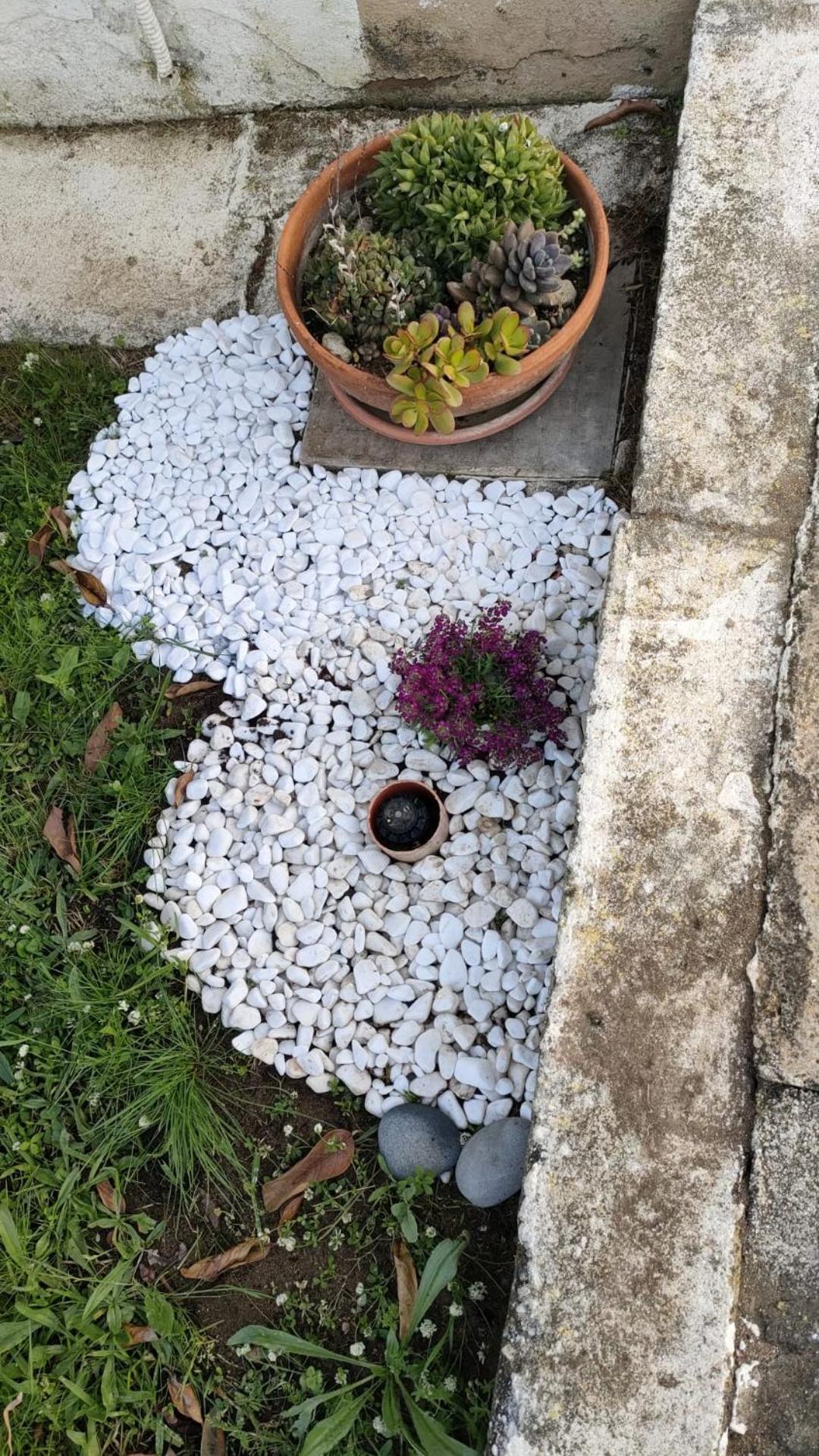 Ndiscialamu Casa Vacanze Palmi Esterno foto